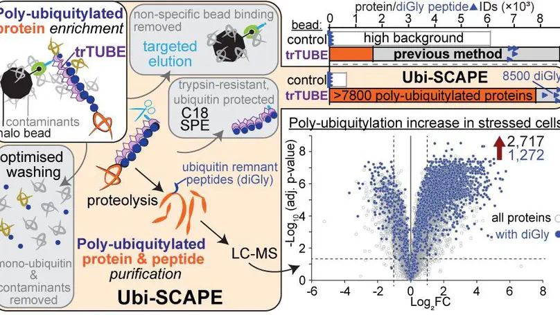 Check out Ubi-SCAPE (pre-print)